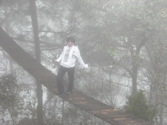 Puentes colgantes